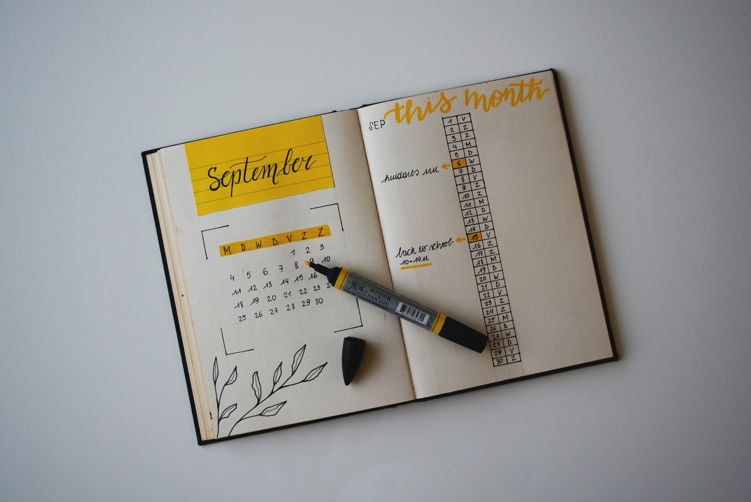 Bullet journal d'entrepreneuses : comment on s'organise ?